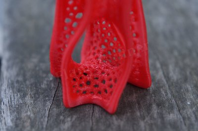 Anet A8 - Voronoi D Tower red (7)s.jpg